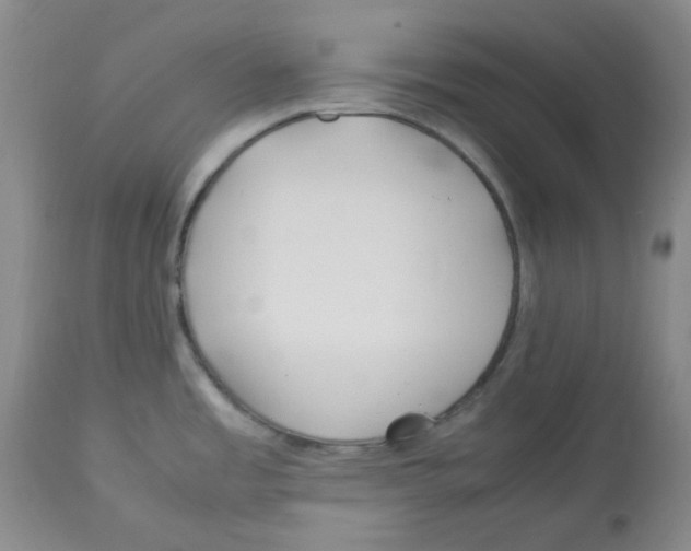 X0000113151485200910021451