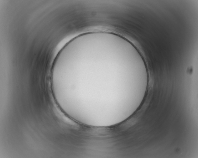 X0000113151486200910021451