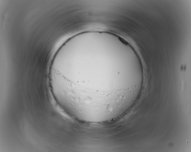 X0000113151488200910021451