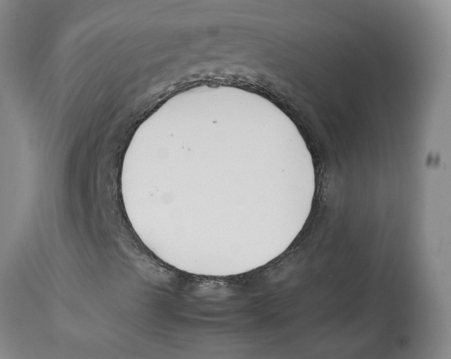 X0000113151489200910021450