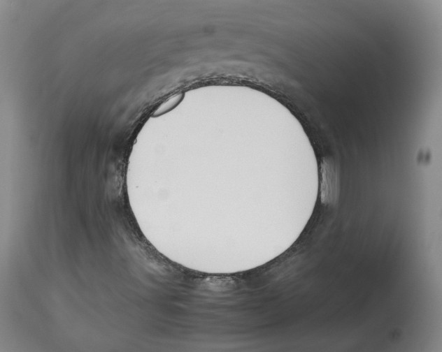 X0000113151491200910021450