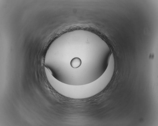 X0000113151492200910021450