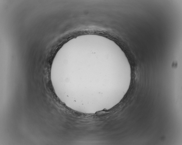 X0000113151493200910021450