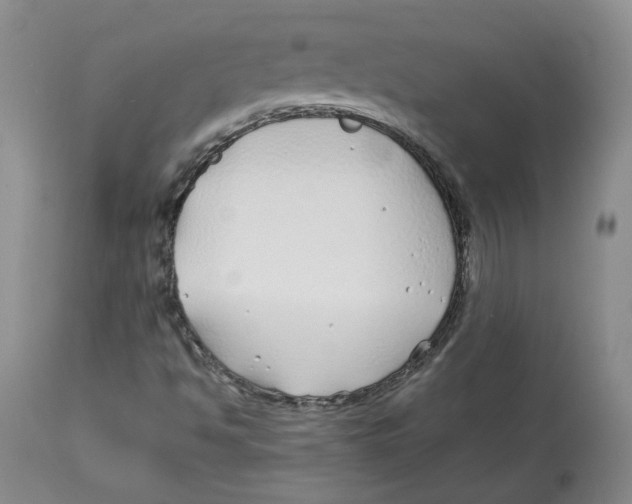 X0000113151494200910021450