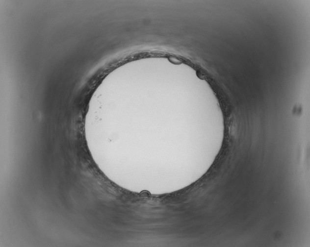 X0000113151495200910021450