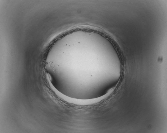 X0000113151496200910021450