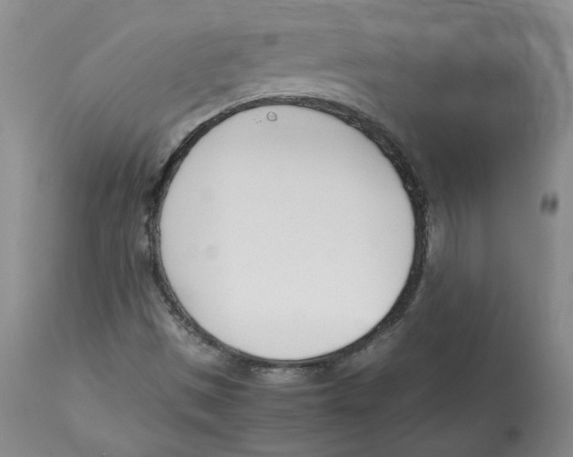 X0000113151497200910021450