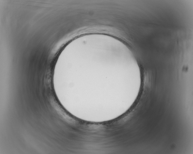 X0000113151498200910021450