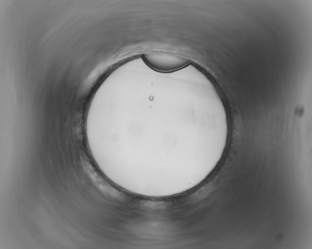 X0000113151499200910021450