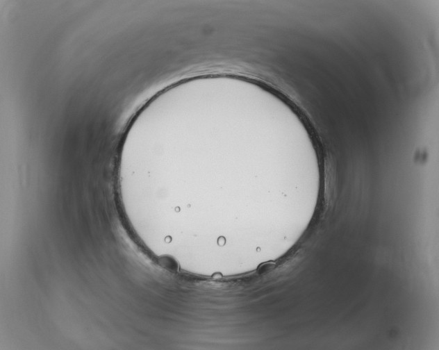 X0000113151500200910021450