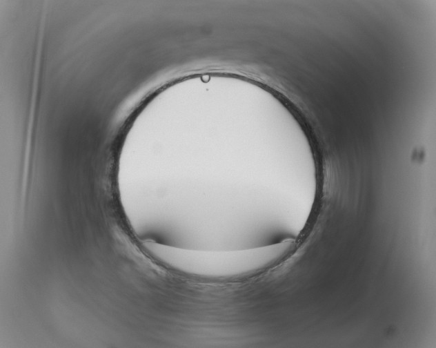 X0000113151502200910021450