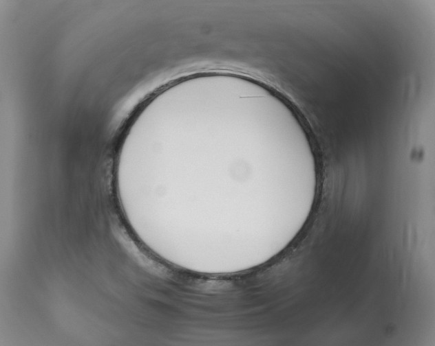 X0000113151503200910021450