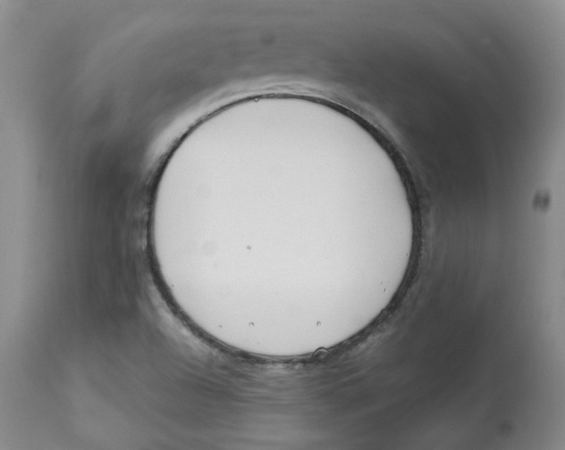 X0000113151504200910021450