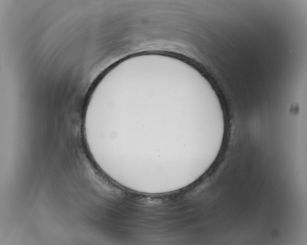 X0000113151505200910021450