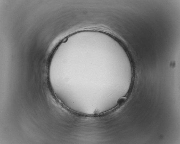 X0000113151506200910021450