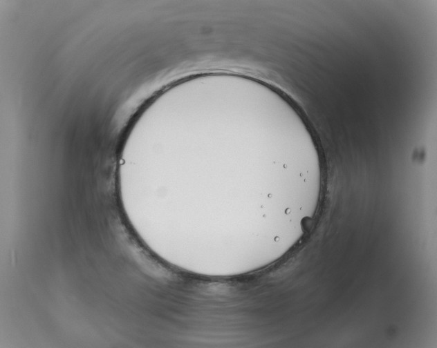 X0000113151507200910021450