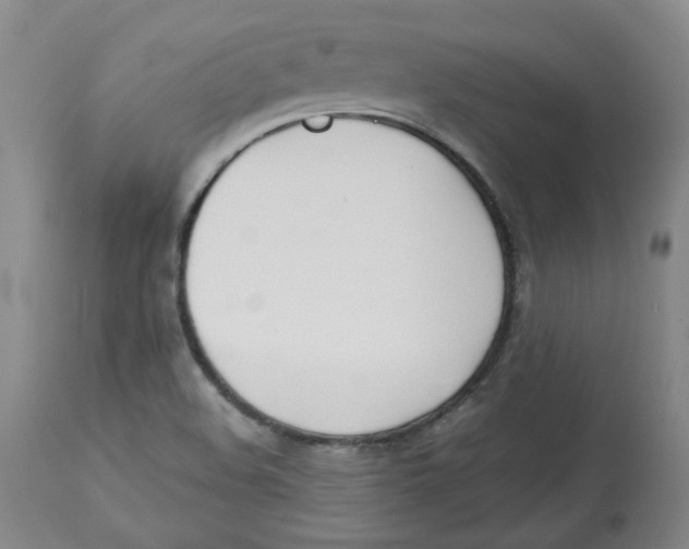 X0000113151508200910021450