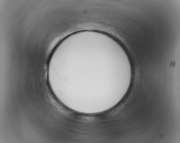 X0000113151509200910021450