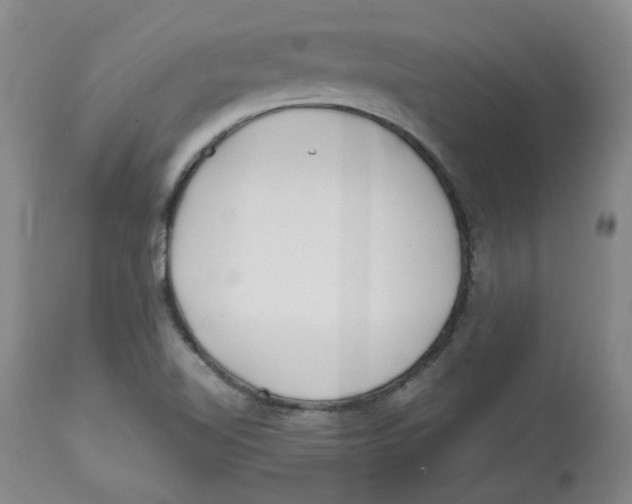 X0000113151510200910021450