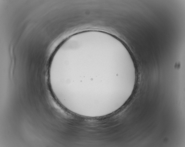 X0000113151511200910021450