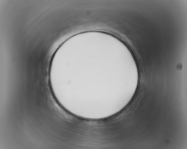 X0000113151512200910021450