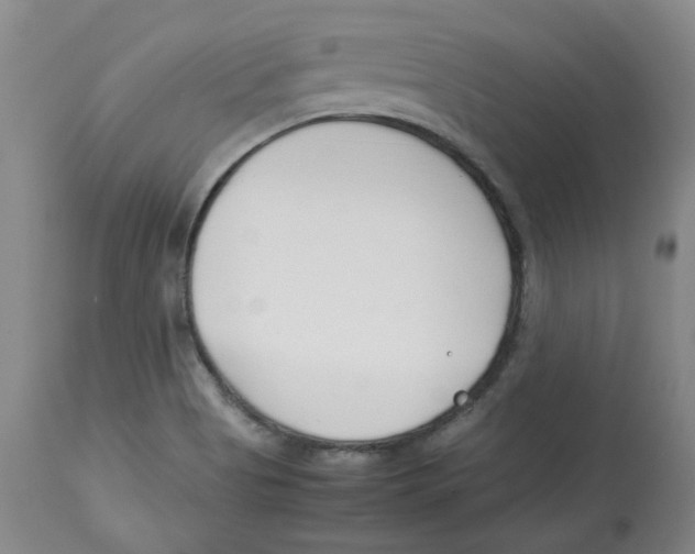 X0000113151513200910021451