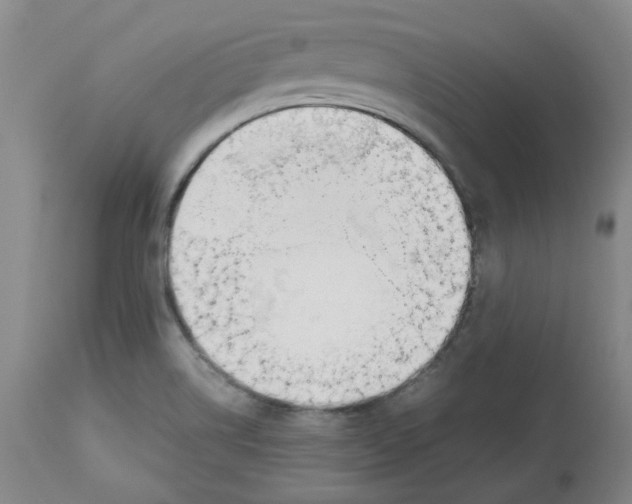 X0000113151514200910021451