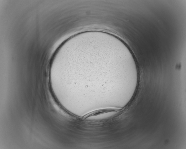 X0000113151515200910021451