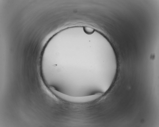 X0000113151518200910021451