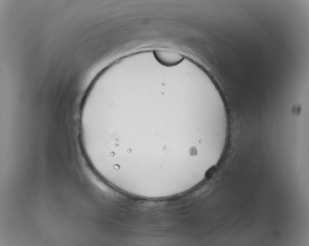 X0000113151519200910021451