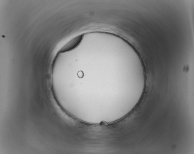 X0000113151520200910021451