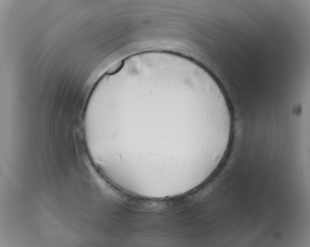 X0000113151521200910021451