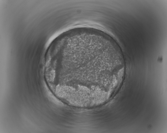 X0000113151522200910021451