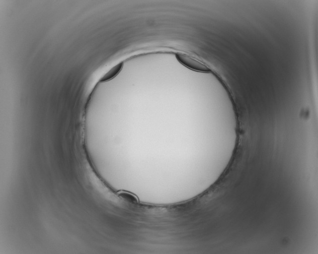 X0000113151524200910021451