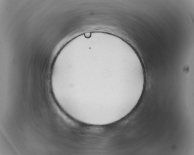 X0000113151525200910021451