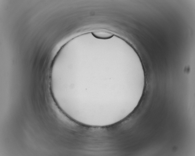 X0000113151526200910021451