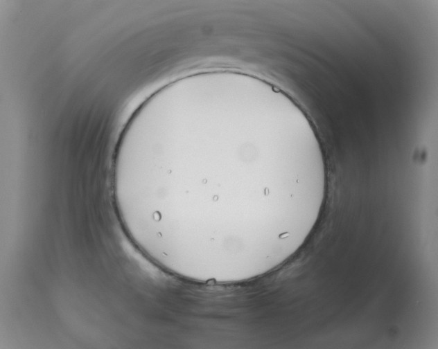 X0000113151527200910021451