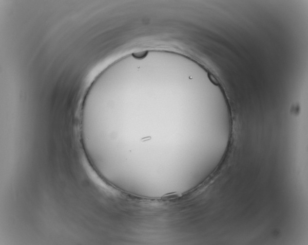 X0000113151528200910021451