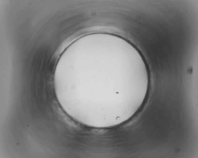 X0000113151529200910021451