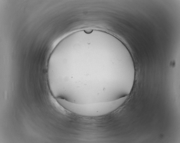 X0000113151532200910021451