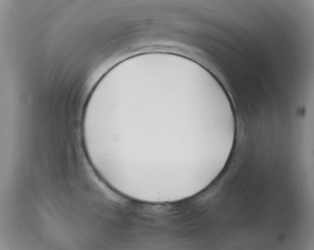 X0000113151533200910021451