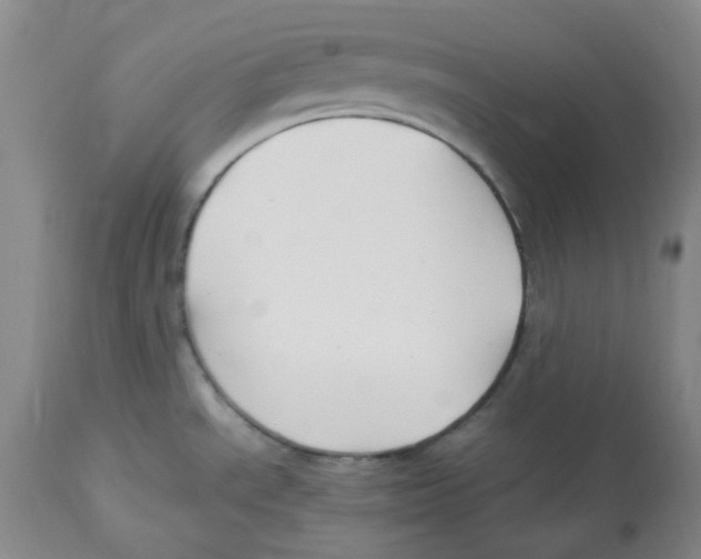 X0000113151534200910021451