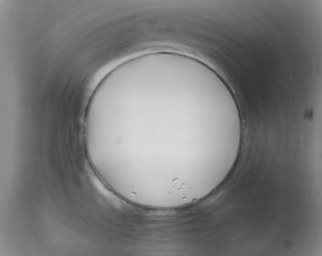 X0000113151535200910021451