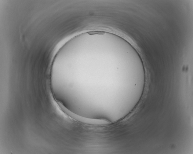 X0000113151536200910021451