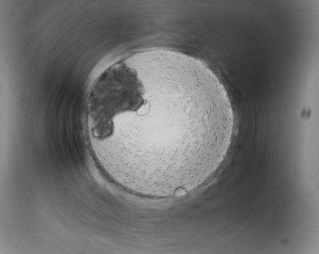 X0000113150004200910161231