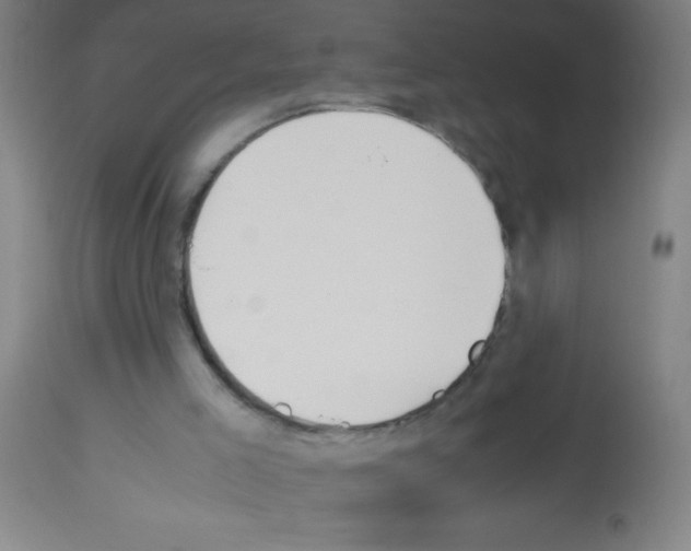 X0000113150005200910161231