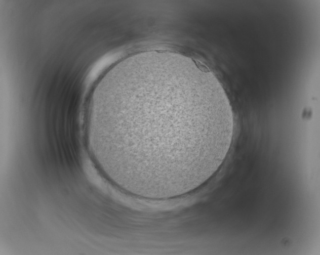 X0000113150006200910161231