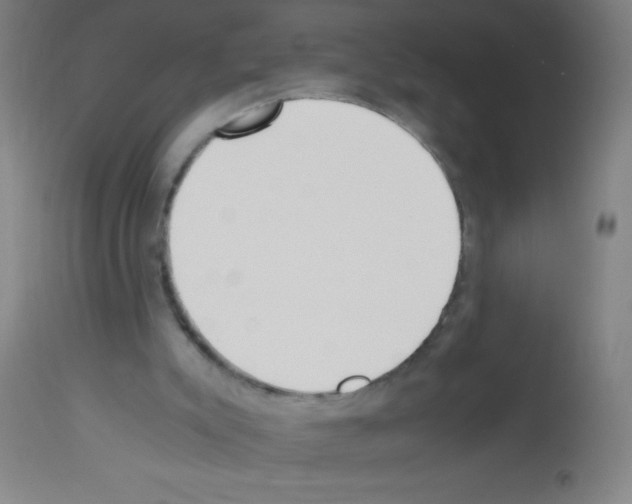 X0000113150007200910161231