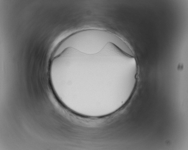 X0000113150008200910161231