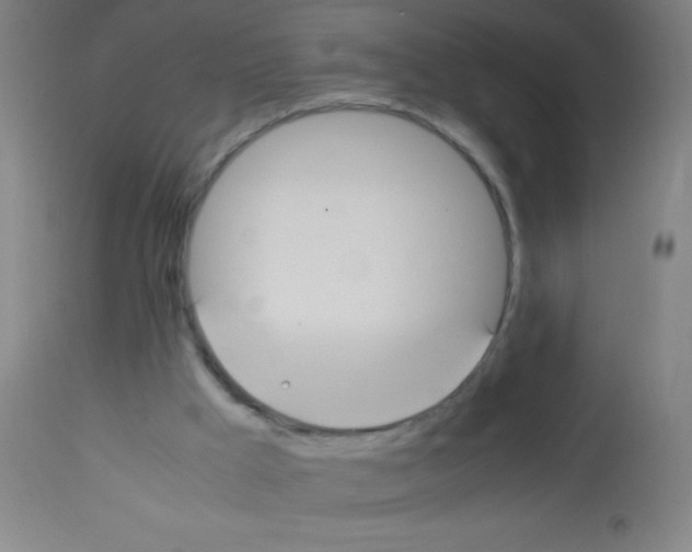 X0000113150009200910161231